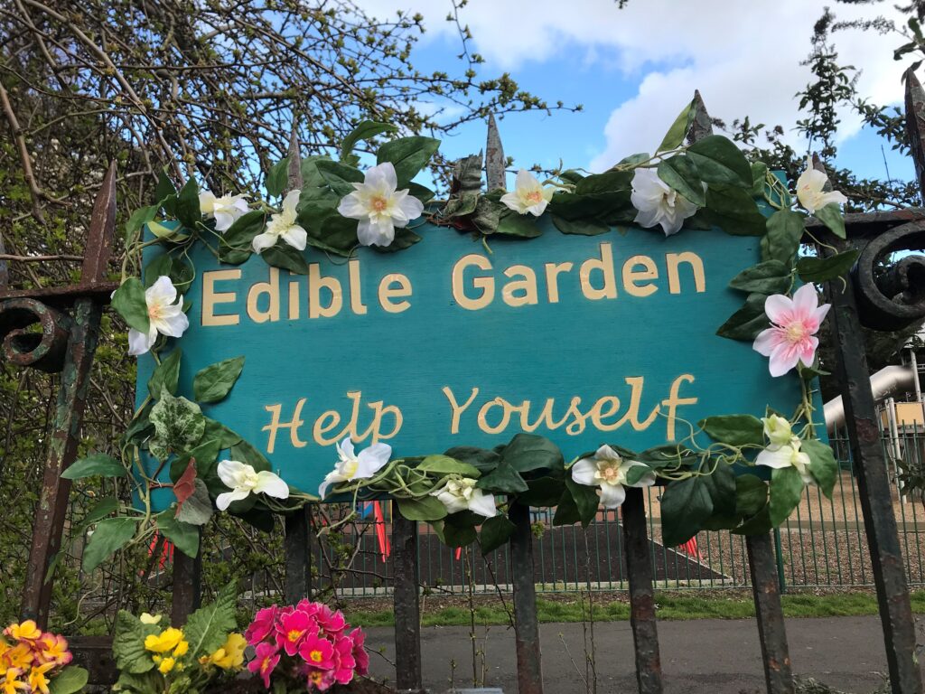 Edible Garden — the launch